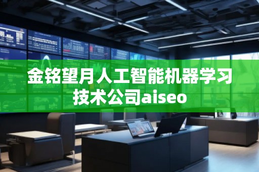 金銘望月人工智能機器學(xué)習(xí)技術(shù)公司aiseo