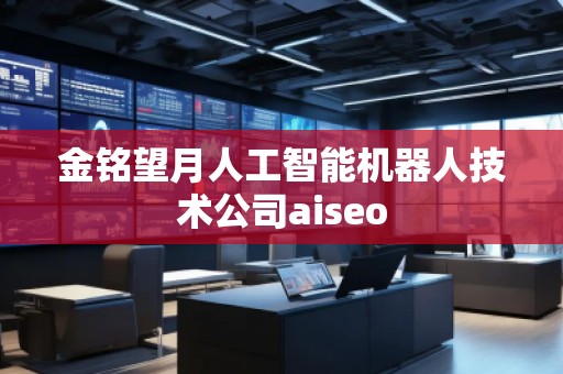 金銘望月人工智能機(jī)器人技術(shù)公司aiseo