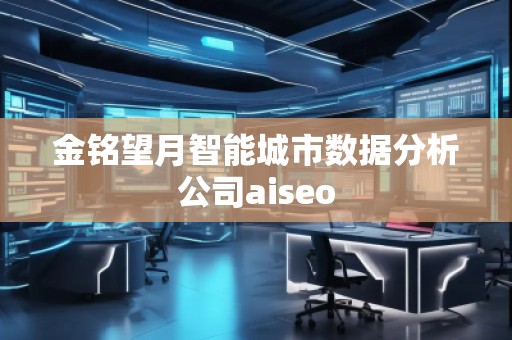 金銘望月智能城市數(shù)據(jù)分析公司aiseo