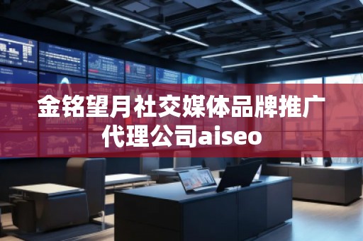 金銘望月社交媒體品牌推廣代理公司aiseo