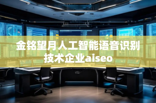 金銘望月人工智能語音識別技術(shù)企業(yè)aiseo