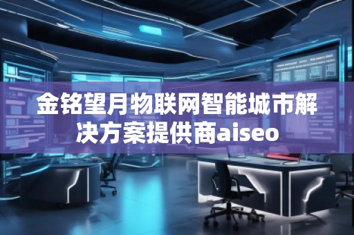 金銘望月物聯(lián)網(wǎng)智能城市解決方案提供商aiseo