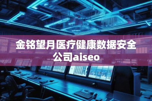 金銘望月醫(yī)療健康數(shù)據(jù)安全公司aiseo