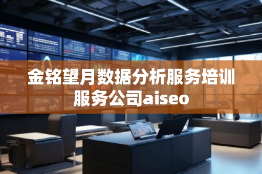 金銘望月數(shù)據(jù)分析服務(wù)培訓(xùn)服務(wù)公司aiseo