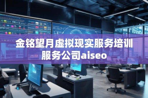 金銘望月虛擬現(xiàn)實服務培訓服務公司aiseo