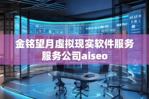 金銘望月虛擬現(xiàn)實(shí)軟件服務(wù)服務(wù)公司aiseo