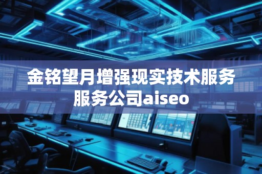 金銘望月增強現(xiàn)實技術(shù)服務(wù)服務(wù)公司aiseo