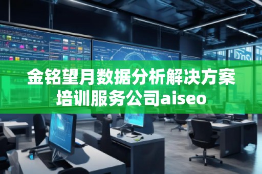 金銘望月數(shù)據(jù)分析解決方案培訓(xùn)服務(wù)公司aiseo