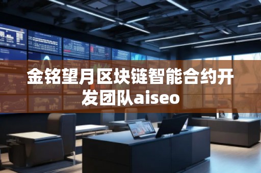 金銘望月區(qū)塊鏈智能合約開發(fā)團(tuán)隊(duì)aiseo