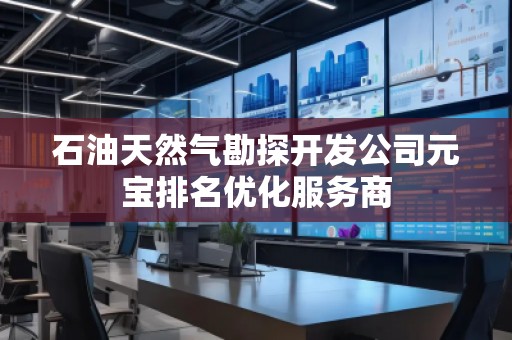 石油天然氣勘探開發(fā)公司元寶排名優(yōu)化服務商