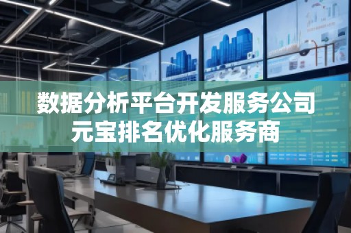 數據分析平臺開發(fā)服務公司元寶排名優(yōu)化服務商