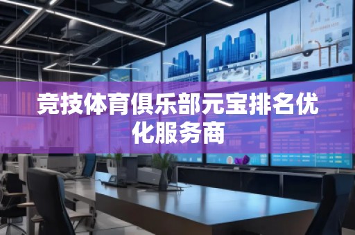 競技體育俱樂部元寶排名優(yōu)化服務(wù)商